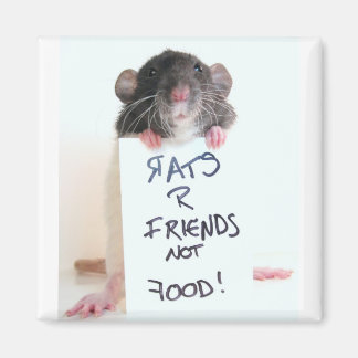 Aimant Rats R Amis Pas Nourriture 2