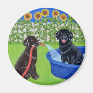 Aimant Réception au bord de la piscine drôle Labradors