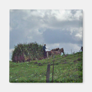 Aimant Récolte amish