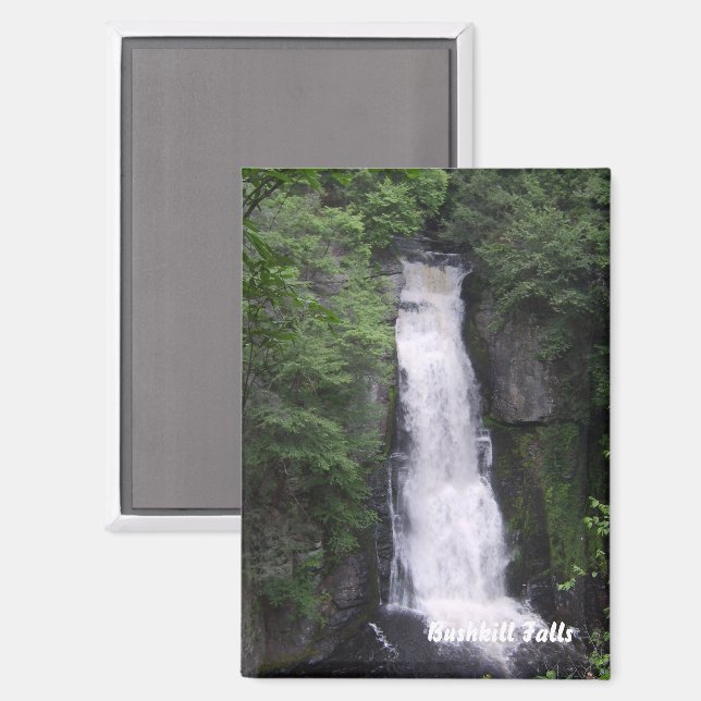 Aimant Rectangle de Bushkill Falls (Recto/Verso)