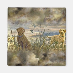 Aimant Récupérateurs fiables