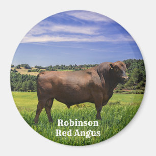Aimant Red Angus Bull
