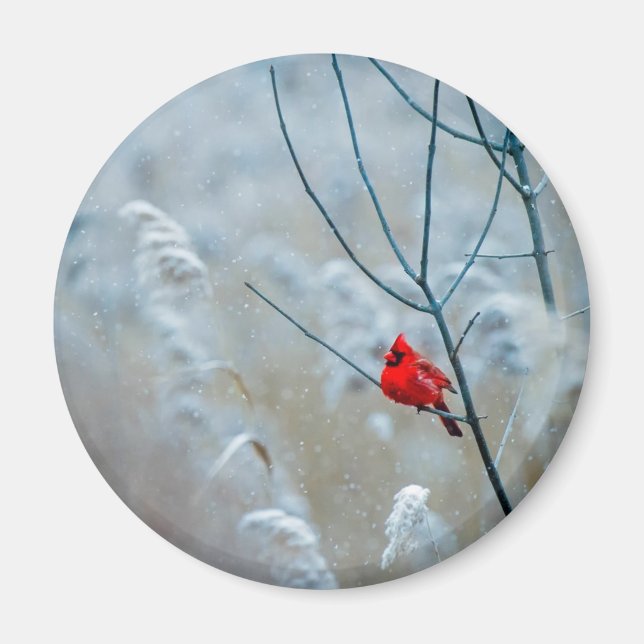 Aimant Red Cardinal dans Winter Nature Photo de Christmas (Devant)