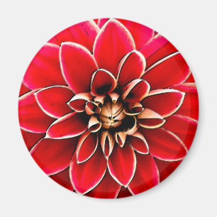 Aimant Red Dahlia, digital art