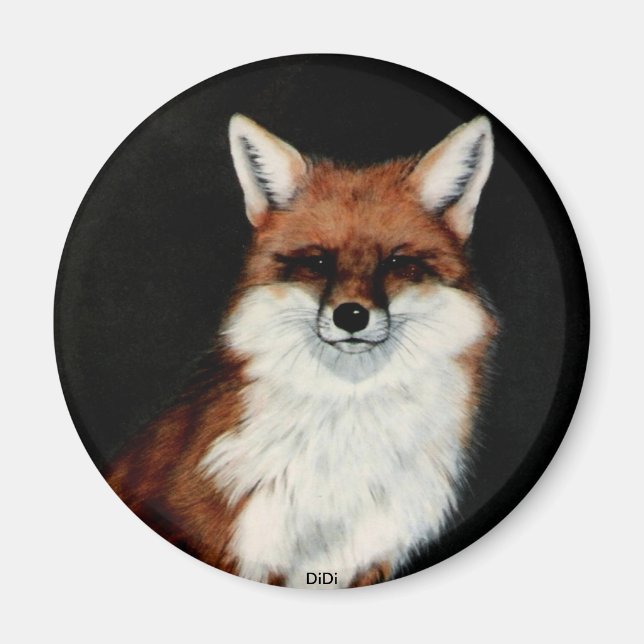 Aimant RED FOX, DiDi (Devant)