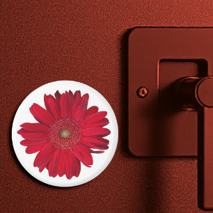 Aimant Red Gerber Daisy Ferme la photo
