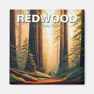 Aimant Redwood National Park California Travel