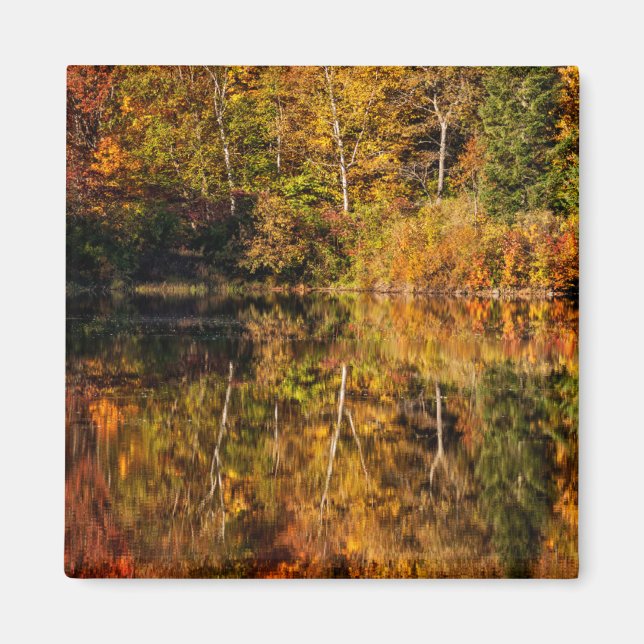 Aimant Reflet d'automne sur l'étang Coffin (Devant)