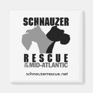 Aimant Réfrigérateur