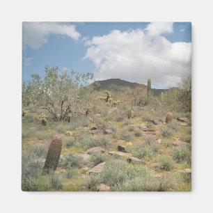 Aimant Réfrigérateur décoratif pastoral de Cactus