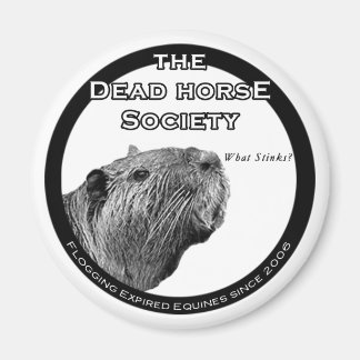 Aimant Réfrigérateur DHS