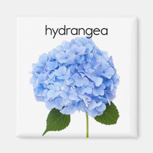 Aimant Réfrigérateur Hydrangea