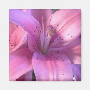 Aimant Réfrigérateur rose Lily