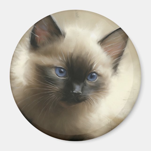 Aimant Regard D'Innocence Siamese Kitten Portrait (Devant)