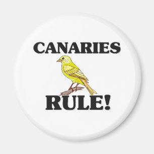 Aimant Règle des CANARIES !