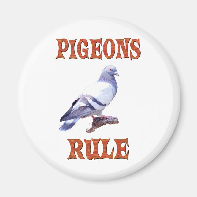 Aimant Règle des pigeons (Devant)