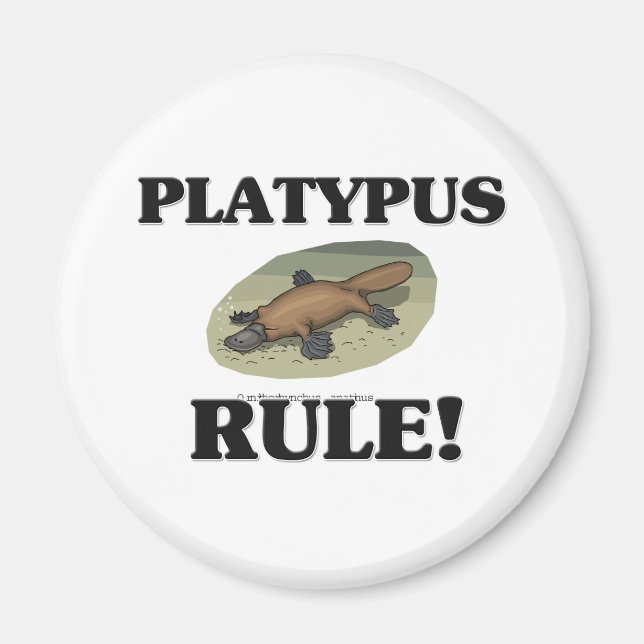 Aimant Règle PLATYPUS ! (Devant)