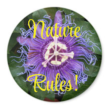 Règles de la nature Passionflower violette Gros pl