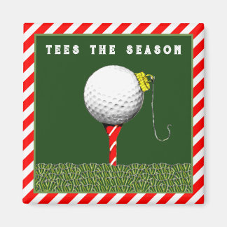 Aimant Remplisseurs de chaussettes de golf