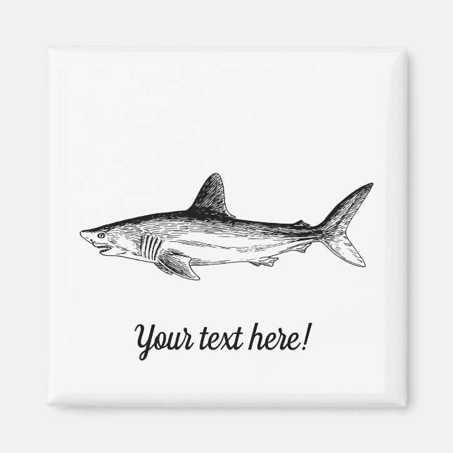 Aimant Requin (Devant)