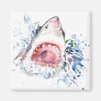 Aimant requin cool