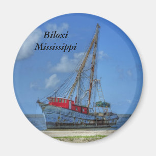 Aimant Requin de tigre