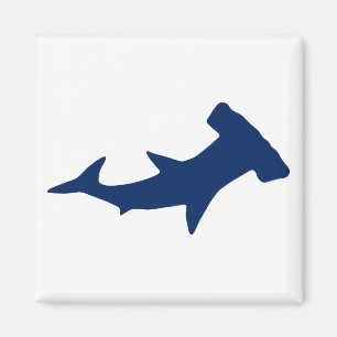 Aimant requin-marteau