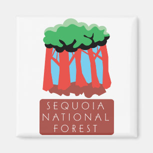 Aimant Réserve forestière de séquoia