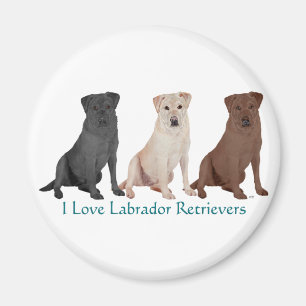 Aimant Retrievers du Labrador - 3 Couleurs à aimer