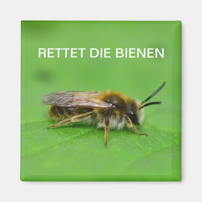 Aimant Rettet die Bienen (Devant)