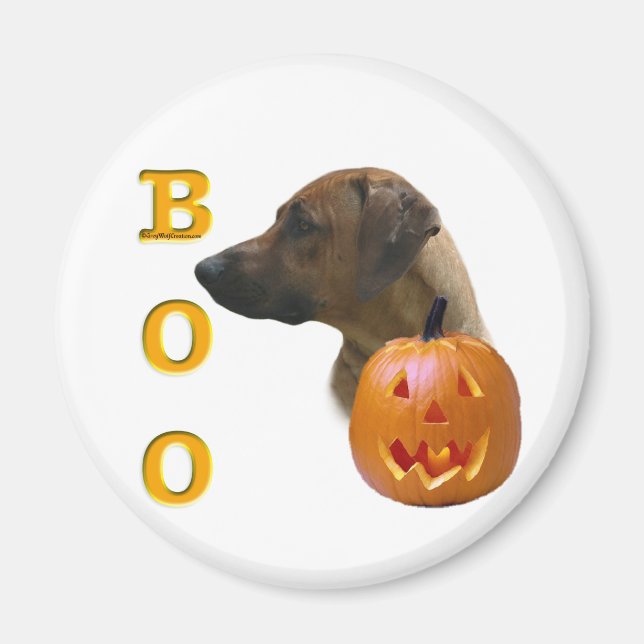 Aimant Rhodesian Ridgeback Boo (Devant)