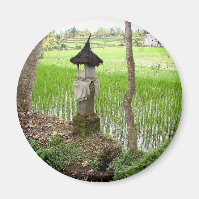 Aimant Rice Paddy, Temple, Ubud Bali, Indonésie (Devant)