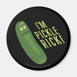 Aimant RICK ET MORTY™ Retourner Le Jeu