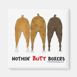 Aimant Rien n'aboutent des boxeurs
