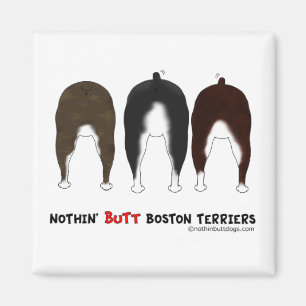Aimant Rien n'aboutent des terriers de Boston