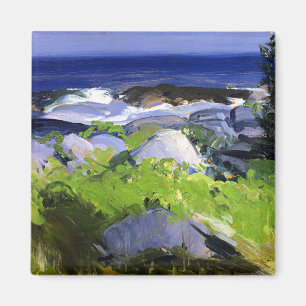 Aimant Rivage tapissé de vigne, île de Monhegan, Maine, b