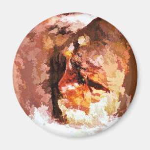 AIMANT RIVER SPIRIT