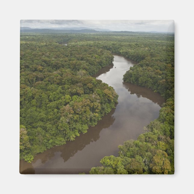 Aimant Rivière Essequibo, plus long fleuve de Guyane, et  (Devant)