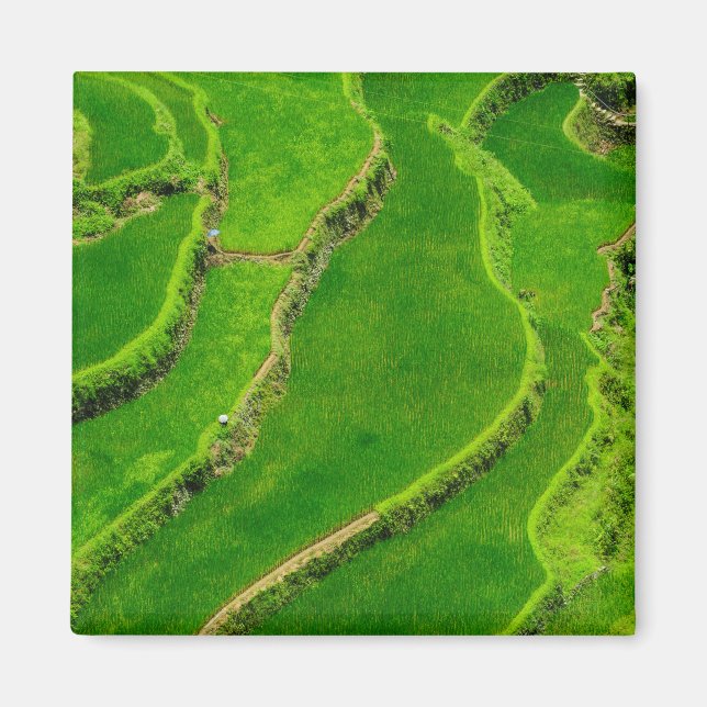 Aimant Rizières (Devant)