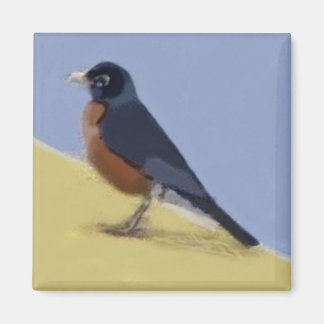Aimant Robin