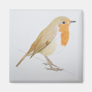 Aimant Robin 2011