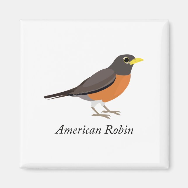 Aimant Robin américain (Devant)