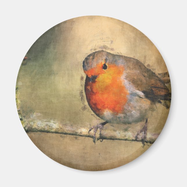Aimant Robin Redmamin (Devant)