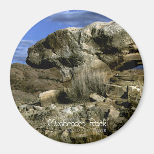 Aimant Roche de champignons