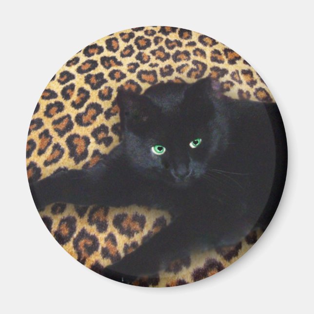 Aimant Roi de la Jungle (Devant)