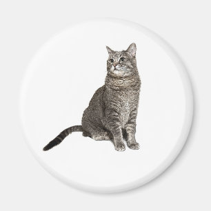 Aimant rond de chat Abyssin