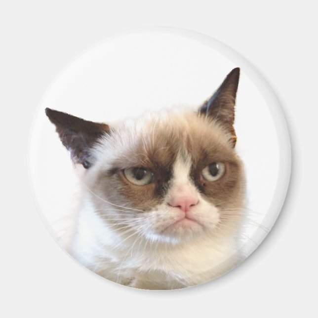 Aimant rond de chat grumeux (Devant)