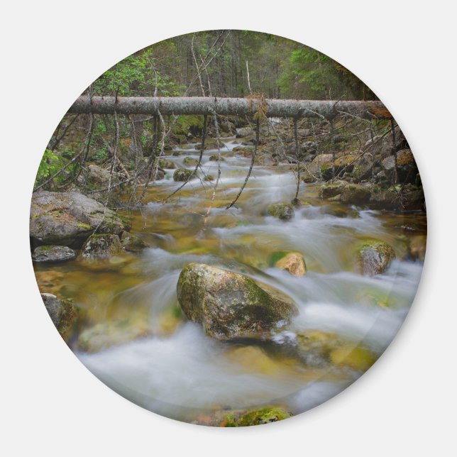 Aimant rond de crique de forêt rocheuse (Devant)