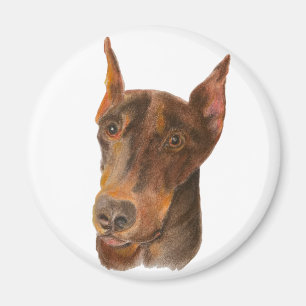 Aimant rond Doberman Pinscher