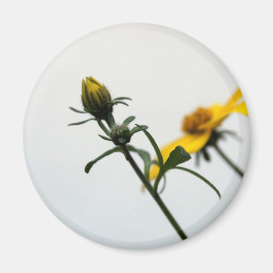 Aimant rond simple Fleurs Jaunes